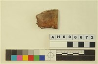 藏品(人頭蓋骨)的圖片